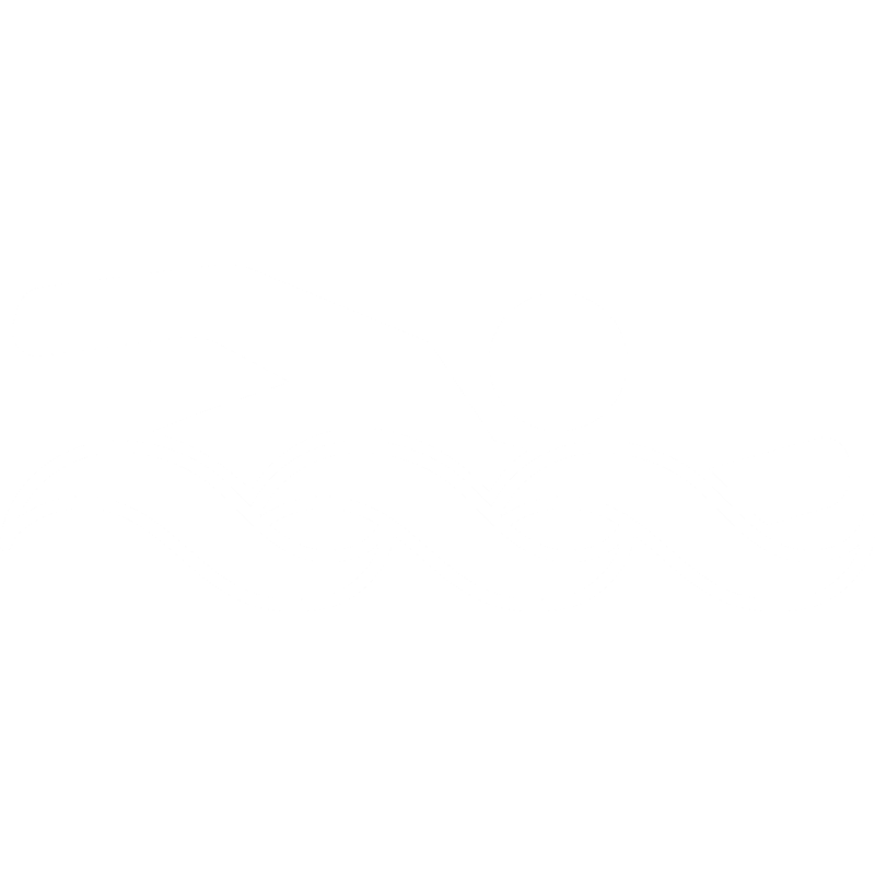 Natación