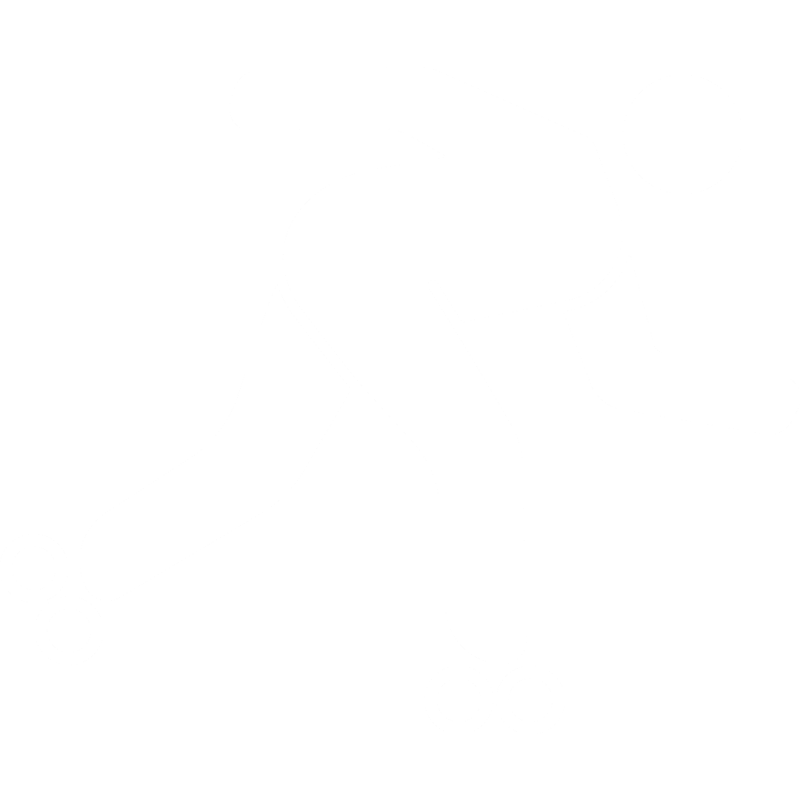 Patinaje de velocidad